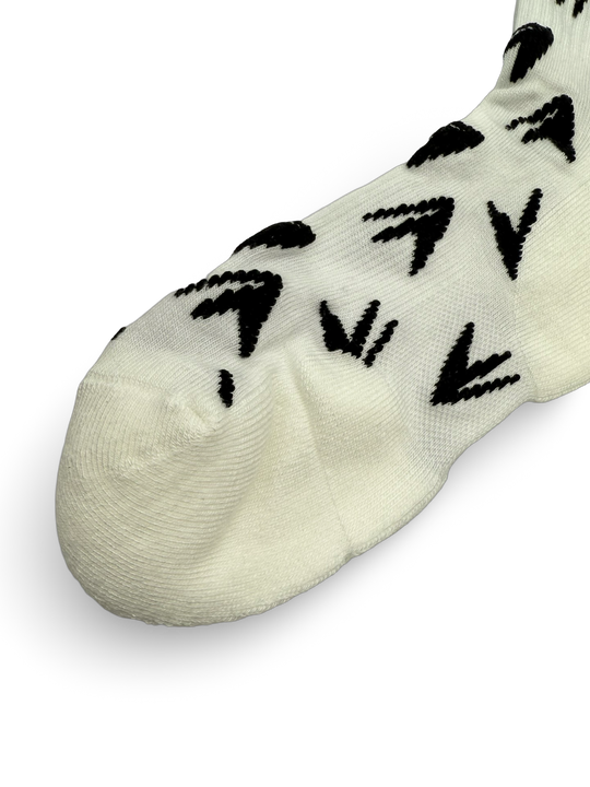 JET LIFE SOCKS [PLANES]