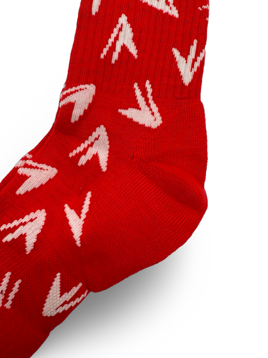 JET LIFE SOCKS [PLANES]