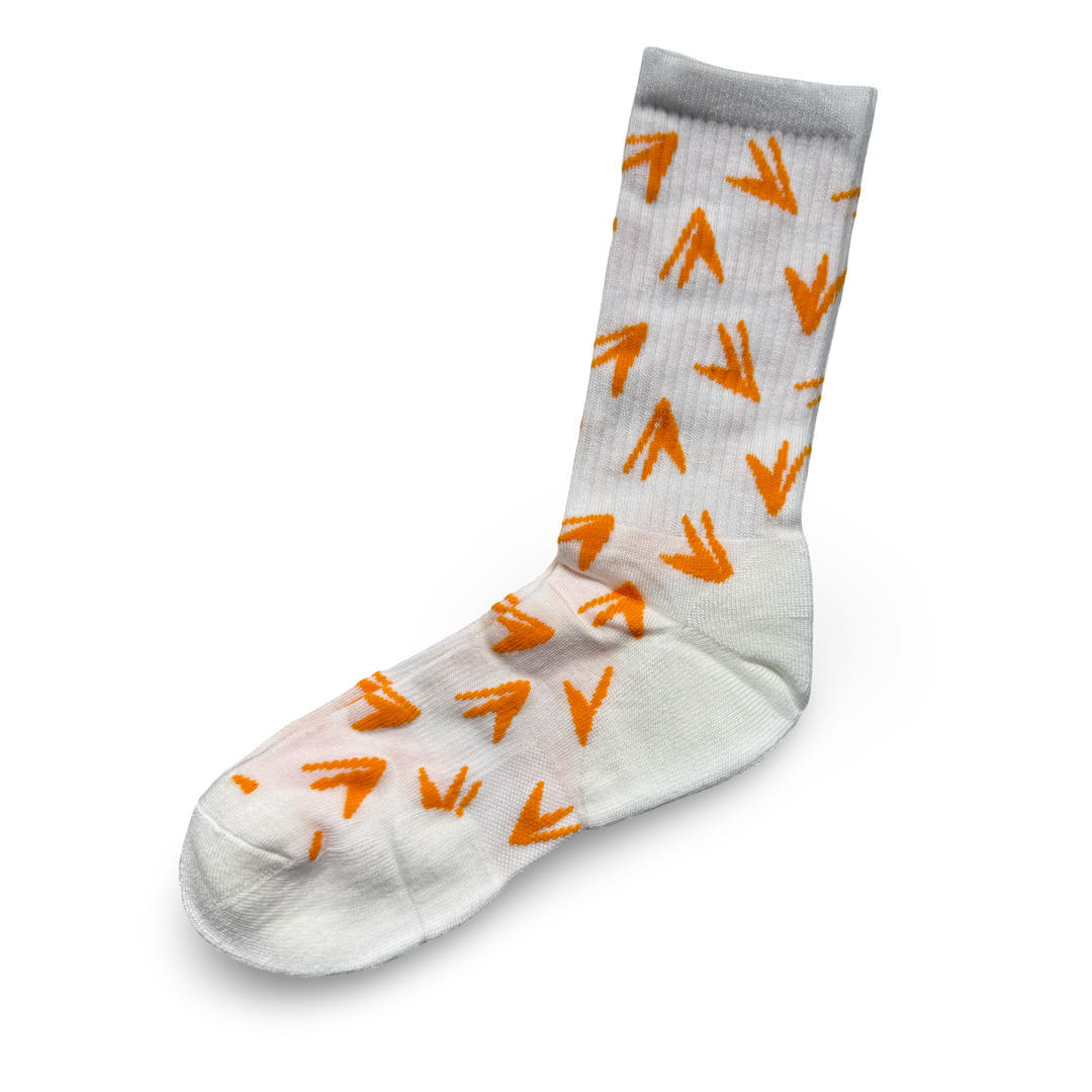 JET LIFE SOCKS [PLANES]