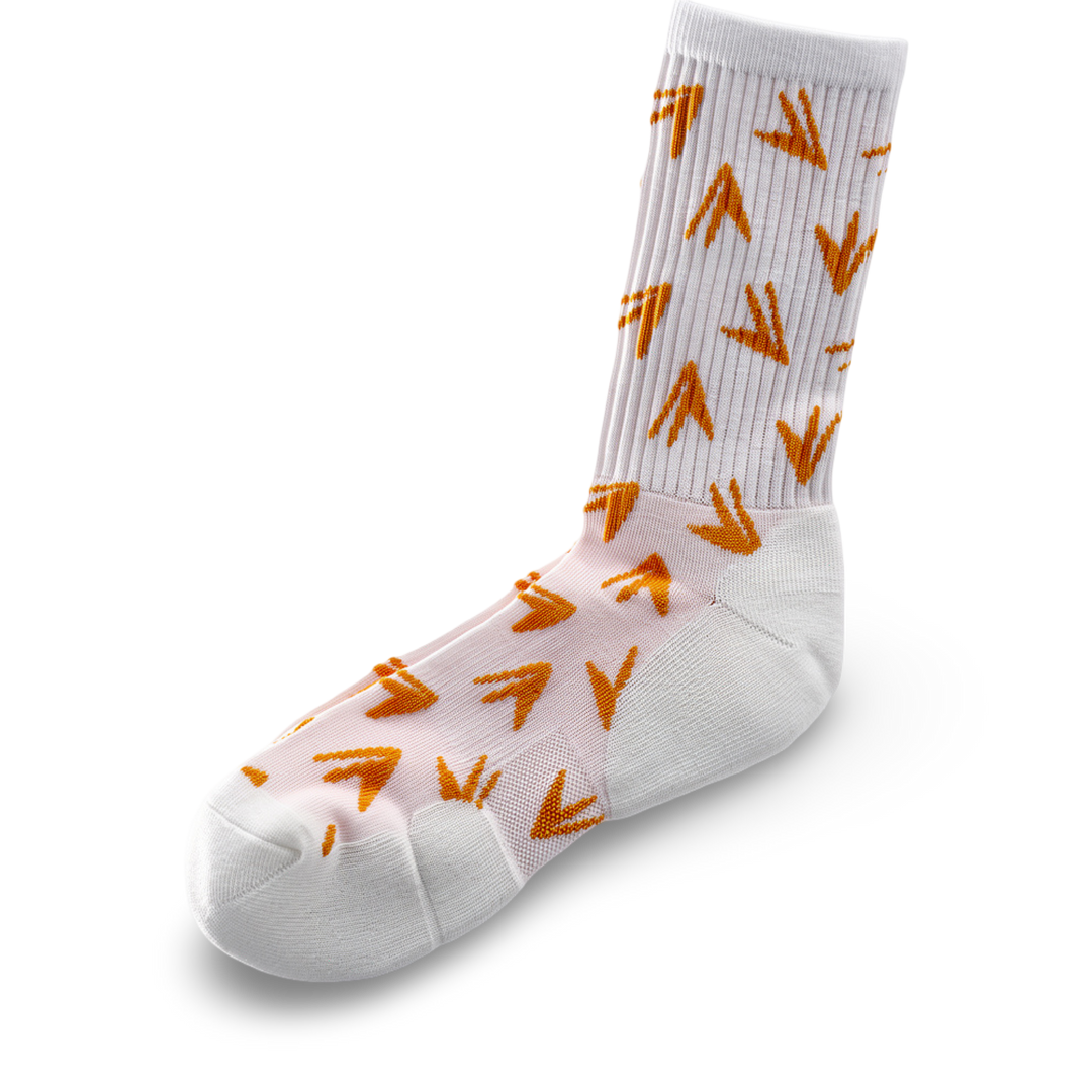 JET LIFE SOCKS [PLANES]