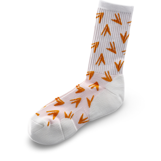 JET LIFE SOCKS [PLANES]