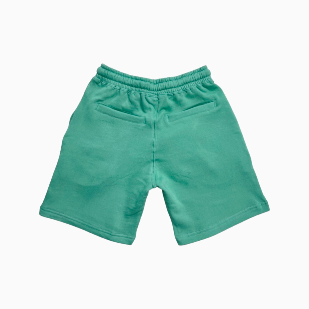 JET LIFE "SPRING CLEAN" SHORTS  [TURQUOISE]